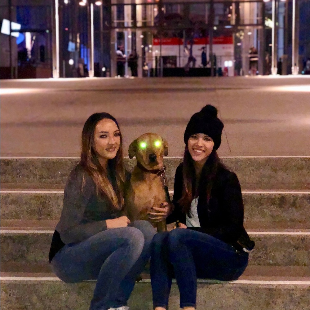 Meet your Posher, Sam